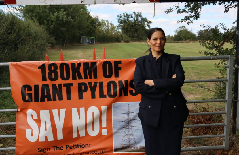 Priti Patel Pylons