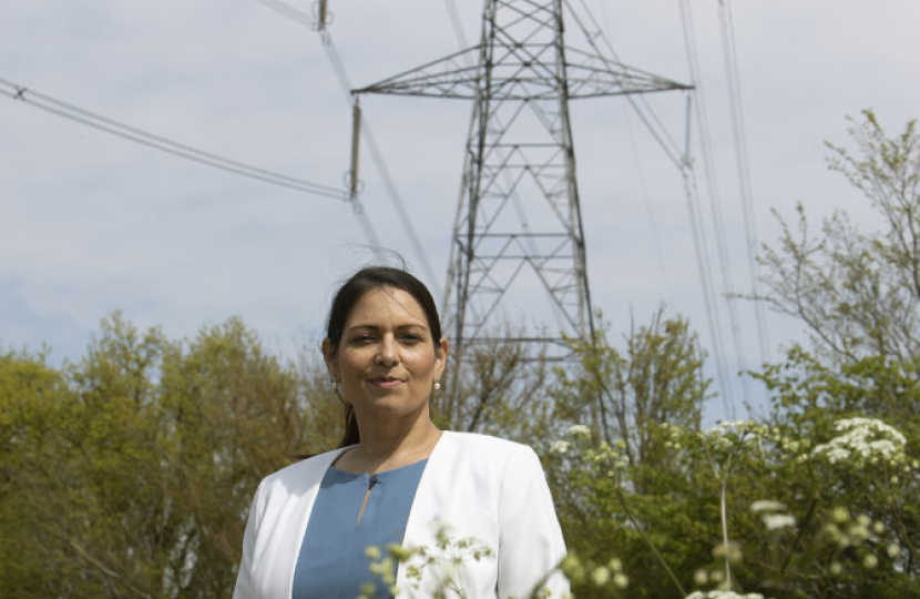 Priti Patel MP with existing pylons that demonstrate their dominant effect on the local environment