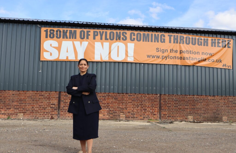 Priti Patel pylons