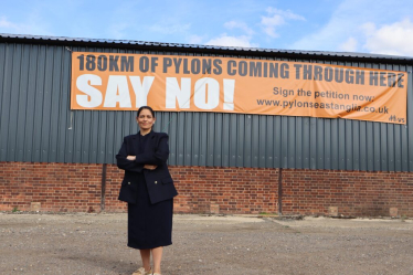 Priti Patel pylons